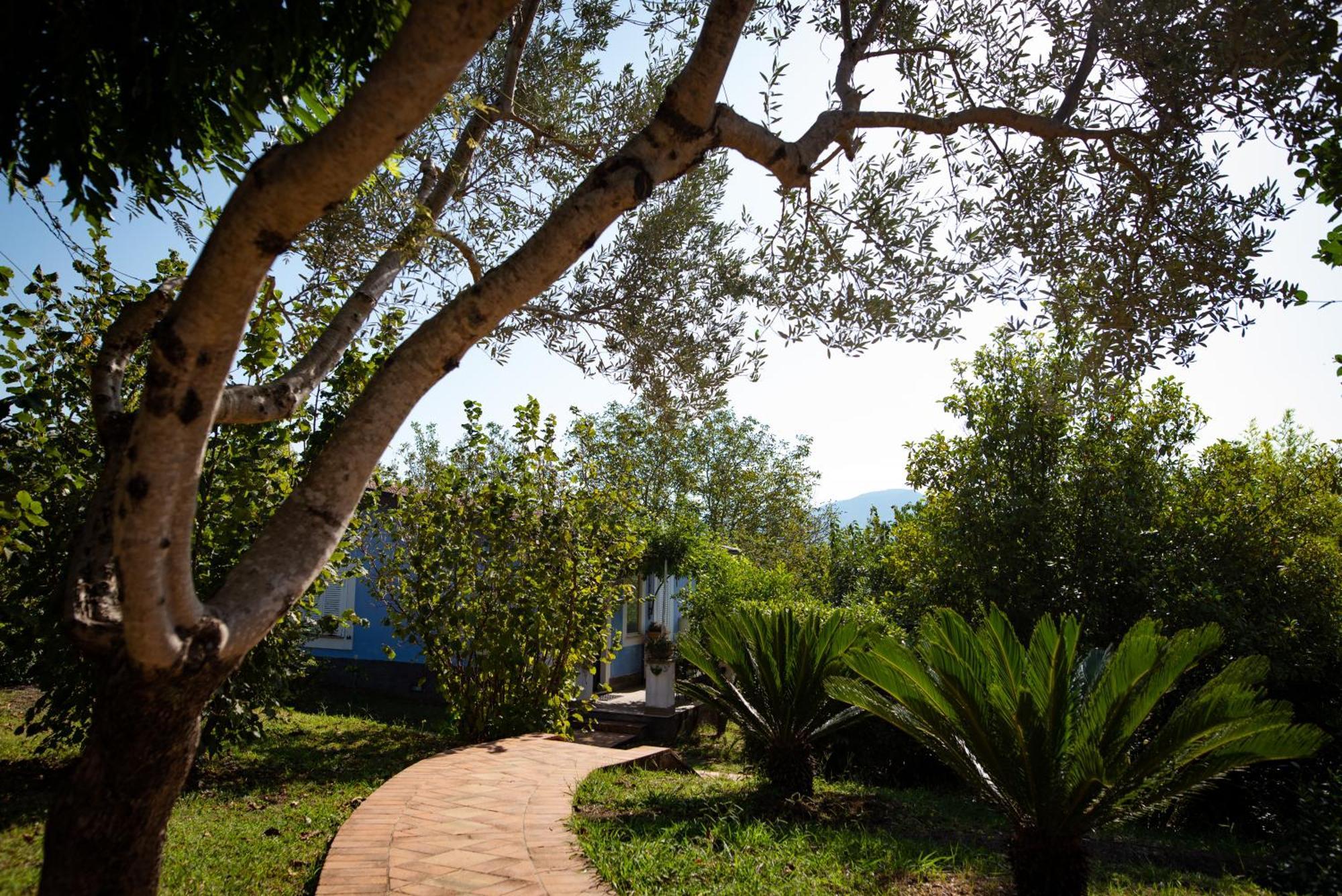 Hotel Villa Rizzo Resort And Spa San Cipriano Picentino Exterior photo